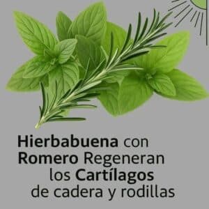 Bebida para fortalecer la próstata: Jugo de Hierbabuena y Limón 2 Bebida para fortalecer la próstata