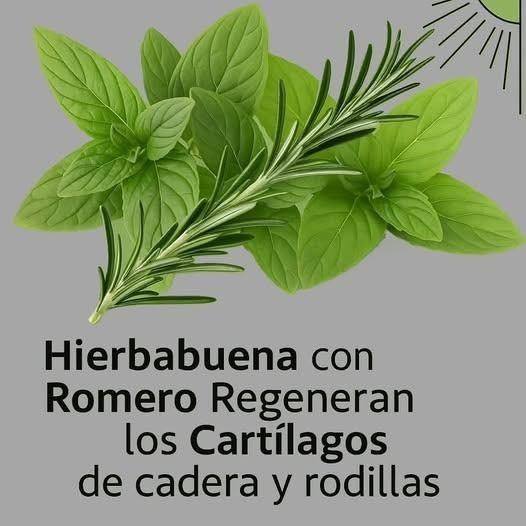 Bebida para fortalecer la próstata