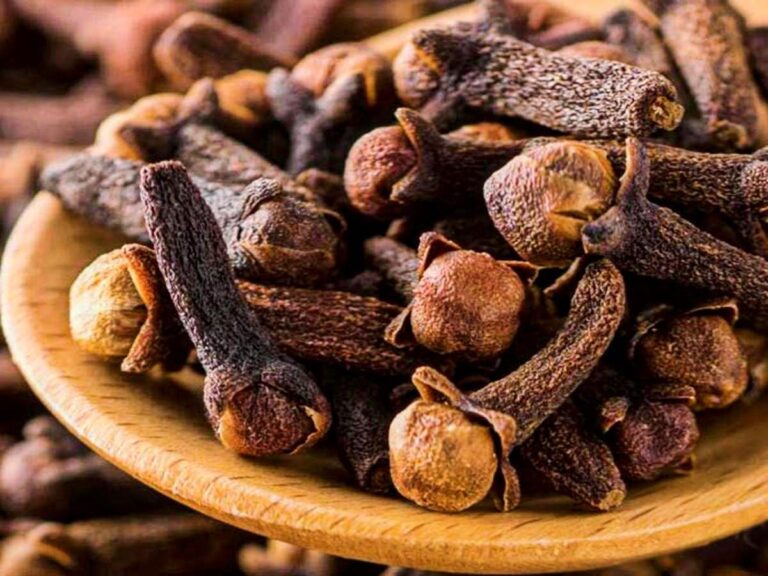 Beneficios de Masticar Clavo de Olor a Diario