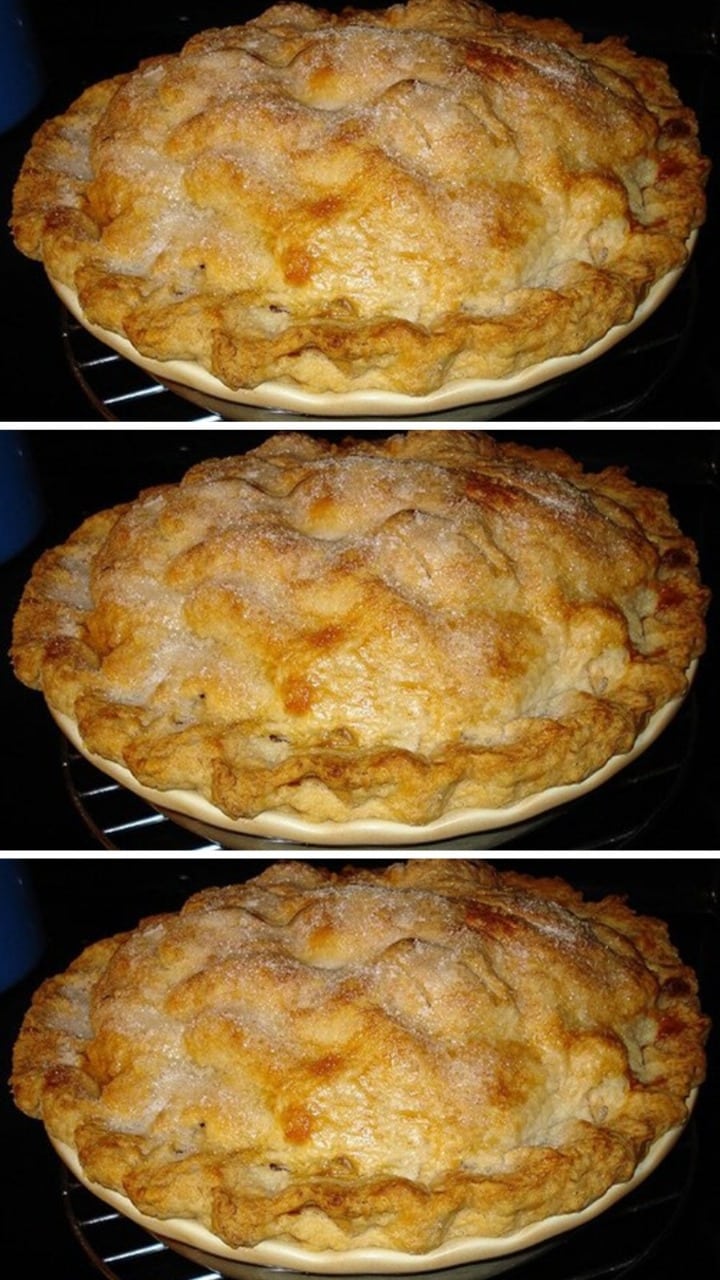 Empanada de Manzana Casera