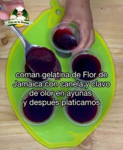 Gelatina de Jamaica