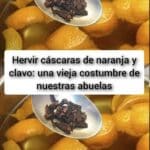 Hervir cáscaras de naranja y clavo