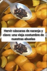 Hervir cáscaras de naranja y clavo