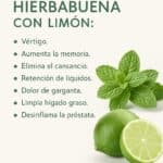 Jugo de Hierbabuena y Limón