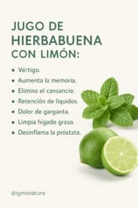 Jugo de Hierbabuena y Limón: Dones Sanativos Sorprendentes 2 Jugo de Hierbabuena y Limón