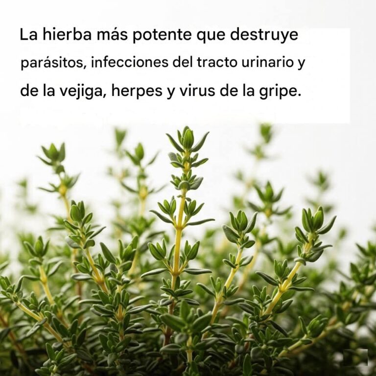 La Hierba Más Potente
