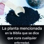 La planta que según la Biblia cura todas las dolencias