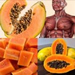 Papaya Diaria