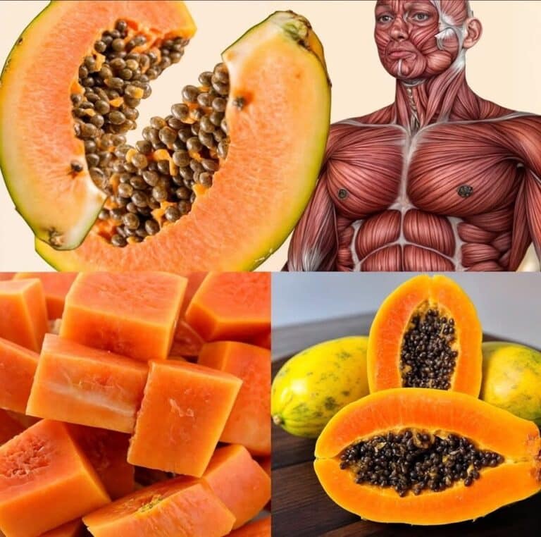 Papaya Diaria