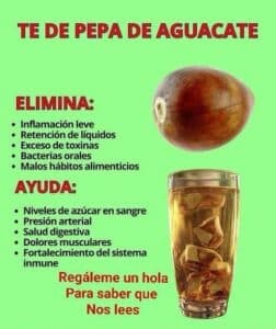 Poderoso Té de Pepa de Aguacate: Descubre sus Beneficios para la Salud 2 Poderoso Té de Pepa de Aguacate