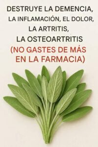 Salvia: Remedio Natural para Salud Cerebral y Dolor Articular 2 Salvia