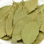 Beneficios y propiedades de la flor de Jamaica