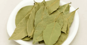 Beneficios y propiedades de la flor de Jamaica