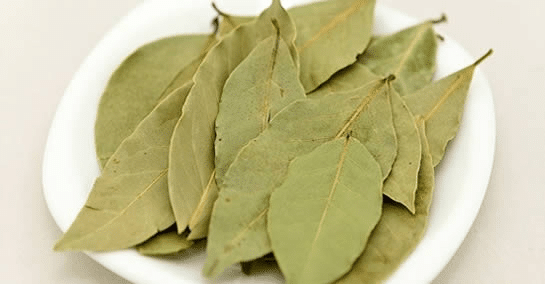 Beneficios y propiedades de la flor de Jamaica