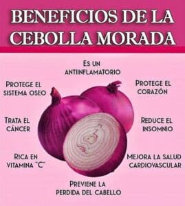 Cebolla Morada: Propiedades, Beneficios y Usos para la Salud 2 Cebolla Morada