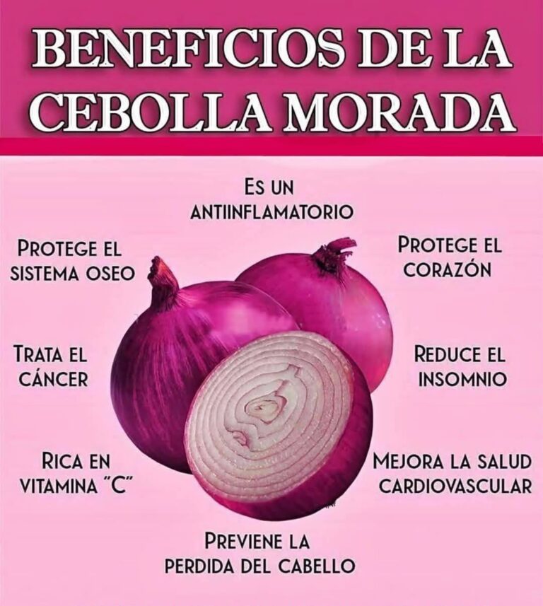 Cebolla Morada