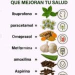 El Poder Curativo de 6 Plantas que Reemplazan Tus Medicinas con Éxito