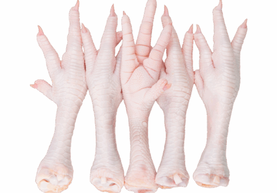 El Poder Curativo de Comer Patas de Pollo