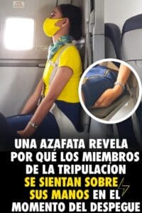 Esta es la razón por la que los auxiliares de vuelo se sientan sobre sus manos durante el despegue y el aterrizaje 2 Esta es la razón por la que los auxiliares de vuelo se sientan sobre sus manos durante el despegue y el aterrizaje
