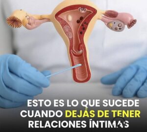 Esto es lo que le sucede a tu organismo: la guía completa sobre la abstinencia 2 Esto es lo que le sucede a tu organismo