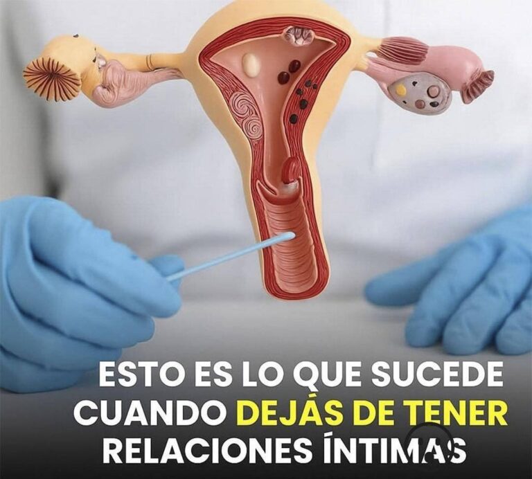 Esto es lo que le sucede a tu organismo
