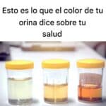 Lo que dice el color de tu orina sobre tu salud