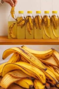 No Tires Mas tus Cascaras de Platano