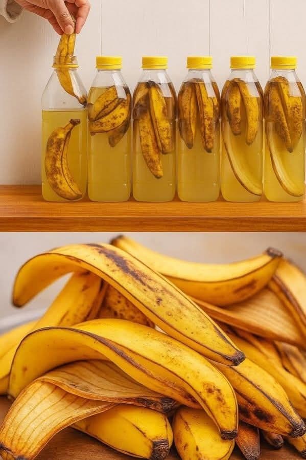 No Tires Más tus Cáscaras de Plátano
