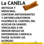 Té Termogénico de Canela