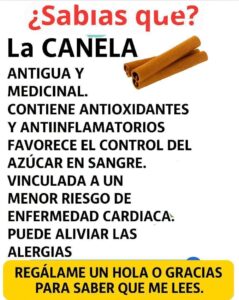 Té Termogénico de Canela: Tu Aliado para un Metabolismo Eficiente. 2 Té Termogénico de Canela