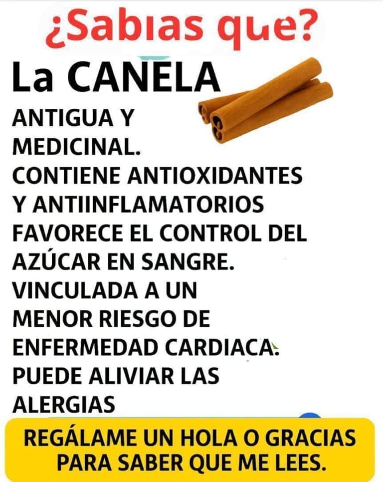 Té Termogénico de Canela