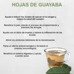 Té de hojas de guayaba