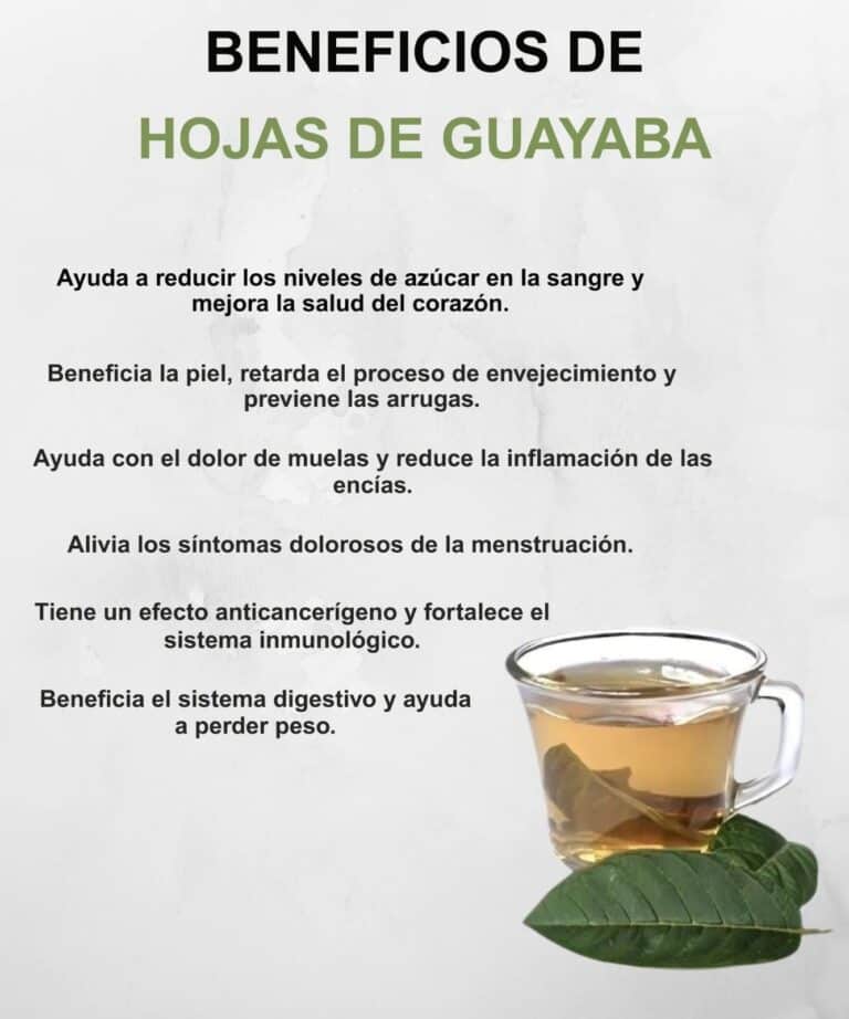 Té de hojas de guayaba