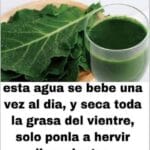 Te seca como una LIP0 y con solo dos ingredientes para la salud