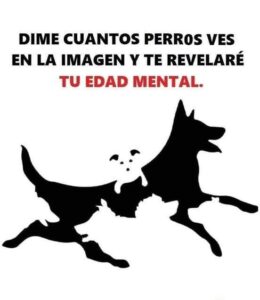 Conoce tu edad mental con esta imagen: Cuántos perros ves en este test visual. 2 Conoce tu edad mental con esta imagen