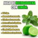 Jugo de Hierbabuena con Limón