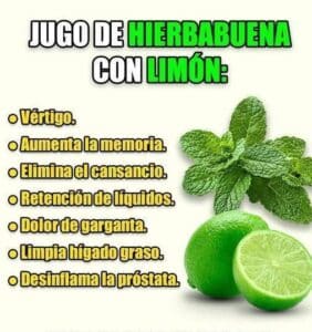 Jugo de Hierbabuena con Limón: El Elixir Natural para una Digestión Óptima 2 Jugo de Hierbabuena con Limón