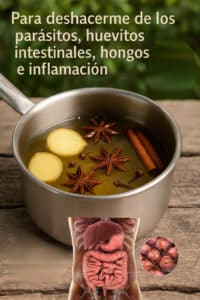 La Infusión Natural que Limpia tu Cuerpo para Combatir Parásitos y Hongos 2 La Infusión Natural que Limpia tu Cuerpo