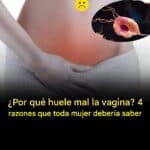 ¿Por qué huele mal la vagina? Descubre 4 Razones Clave 10 ¿Por qué huele mal la vagina? Descubre 4 Razones Clave