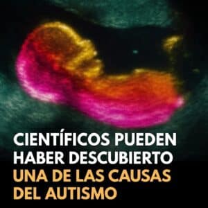 Científicos pueden haber descubierto una de las causas del autismo: El impacto de la microbiota materna 2 Científicos pueden haber descubierto una de las causas del autismo