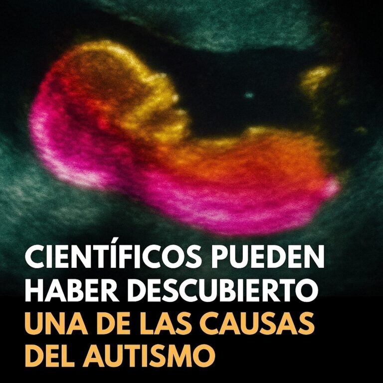 Científicos pueden haber descubierto una de las causas del autismo
