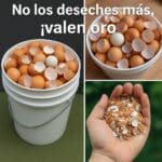 Las cáscaras de huevo hervidas se usan principalmente como una fuente económica de carbonato de calcio. El proceso de hervido elimina las bacterias dañinas como la salmonela. Esto es vital si planeas consumirlas como suplemento. También las convierte en un fertilizante seguro y efectivo para las plantas. 10 No los Deseches Más