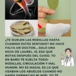 Adiós al Dolor de Rodillas: El Remedio Natural Definitivo con Hojas de Laurel. 9 Un signo temprano de la enfermedad de Alzheimer se puede notar al ducharse