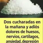 Bebida de Cloruro de Magnesio: Receta Fácil, Beneficios y Guía Completa de Bienestar 10 714