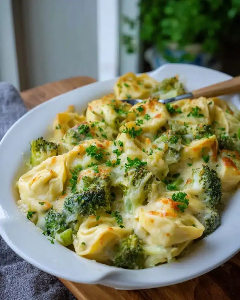 Leckerer vegetarischer Tortellini Auflauf für jeden Anlass!